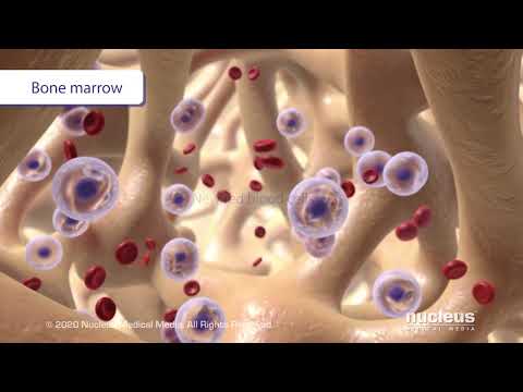 anemia from chronic kidney disease ckd