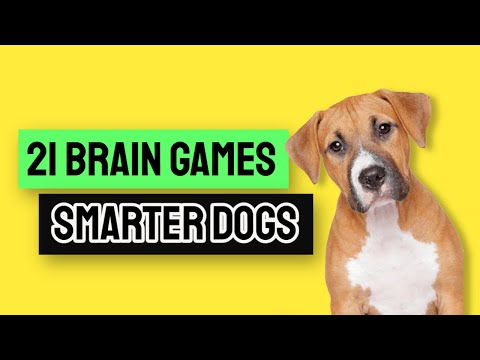 brain training for dogs by adrienne farricelli f09fa4a9 f09fa4a9 f09fa4a9