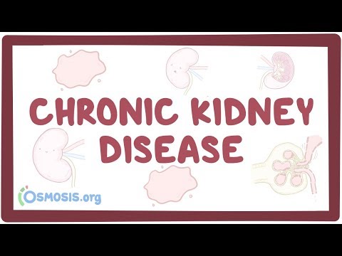 chronic kidney disease causes symptoms diagnosis treatment pathology