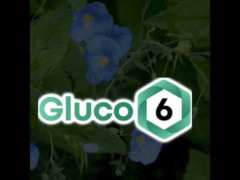 gluco6 f09f94a5 natural blood sugar support for more energy better health f09f92aaf09f8cbf
