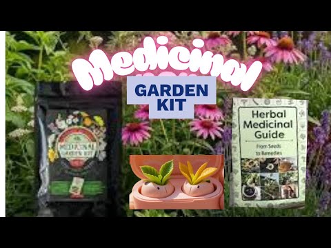 grow natural medicine in your garden medicinal garden kit