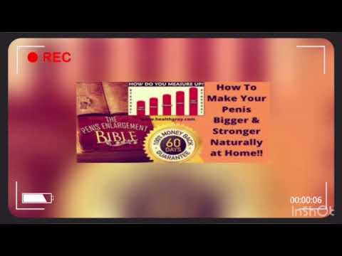 penis enlargement bible pe bible review pdf ebook book download online