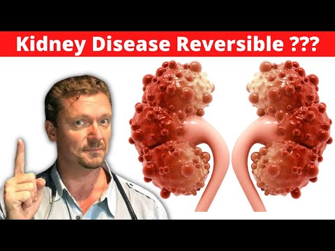 reverse chronic kidney disease ckd improve kidney function with diet 2026