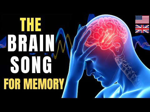 the brain song for memory activate bdnf sharpen your brain fast