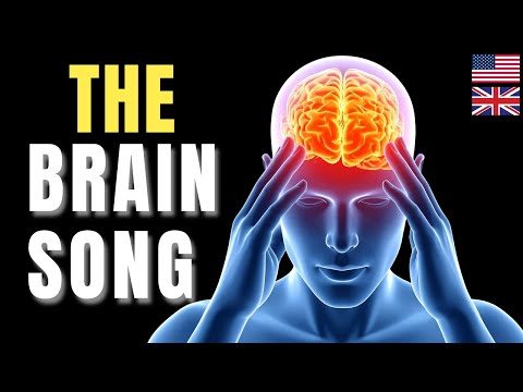 the brain song the 7 minute nasa discovery that activates memory focus