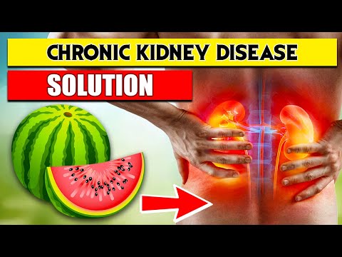 the chronic kidney disease solution review 05 best foods