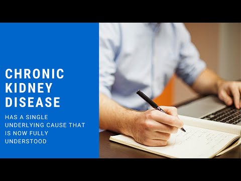 the chronic kidney disease solution review 2020 by shelley manning