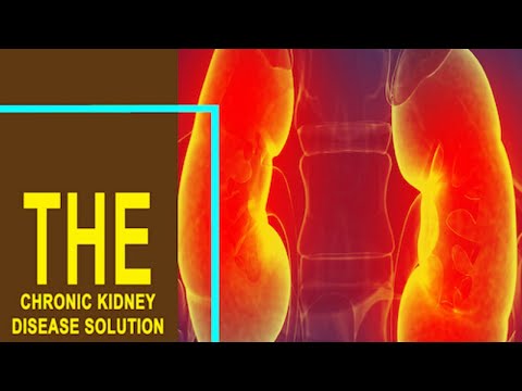the chronic kidney disease solution review updated by shelly manning the ckd solution review