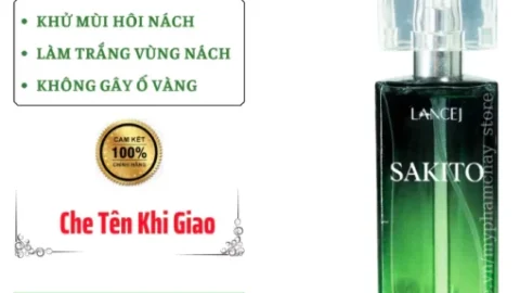 sakito2 510x531 2.png