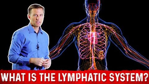 what is the lymphatic system and how it functions dr berg