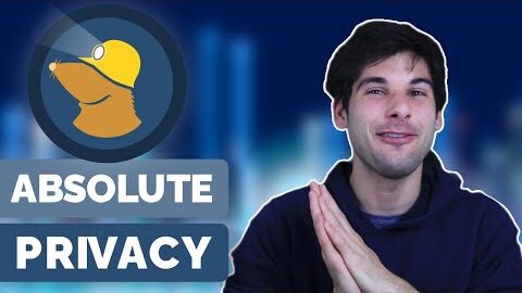 the truly private vpn mullvad vpn review