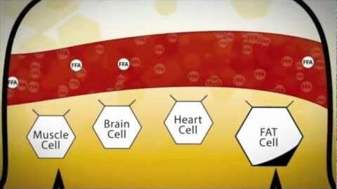 the science of bios life slim english